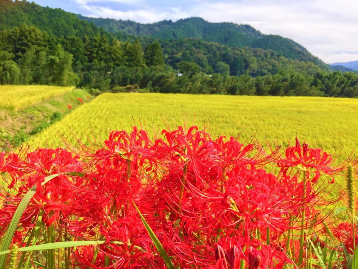 Nature Resort In Shimanto Funato  Extérieur photo